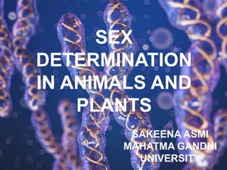 SEX
DETERMINATION
IN ANIMALS AND
PLANTS
SAKEENA ASMI
MAHATMA GANDHI
UNIVERSITY
 