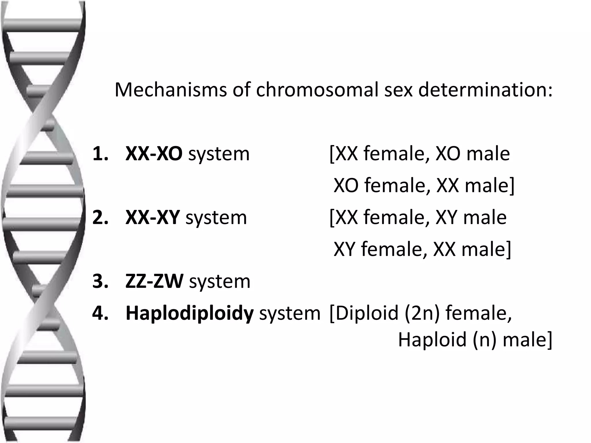 Sex Determination In Animals PPTX sex-determination-in-animals-pptx