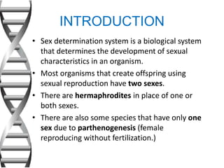 INTRODUCTION
• Sex determination system is a biological system
that determines the development of sexual
characteristics in an organism.
• Most organisms that create offspring using
sexual reproduction have two sexes.
• There are hermaphrodites in place of one or
both sexes.
• There are also some species that have only one
sex due to parthenogenesis (female
reproducing without fertilization.)
 