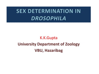 K.K.Gupta
University Department of Zoology
VBU, Hazaribag
 