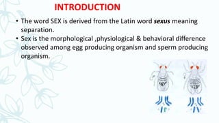 Sex determination in drosophila & human | PPTX