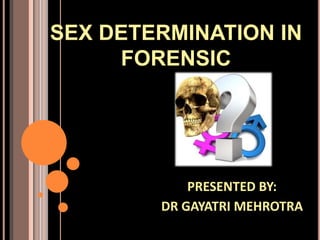 SEX DETERMINATION IN
FORENSIC
PRESENTED BY:
DR GAYATRI MEHROTRA
 