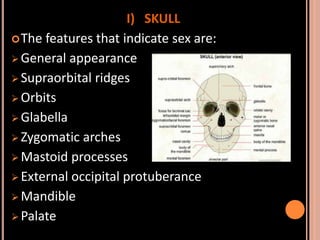 Sex determination in forensic