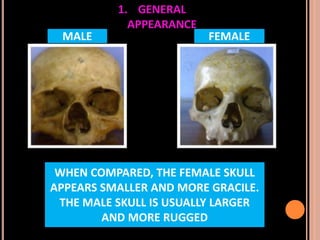Sex determination in forensic