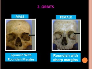 Sex determination in forensic