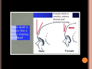 Sex determination in forensic