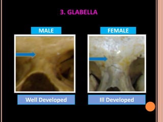 Sex determination in forensic