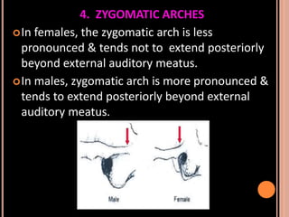 Sex determination in forensic