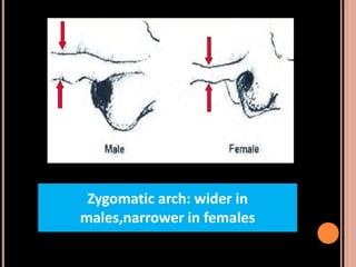 Sex determination in forensic