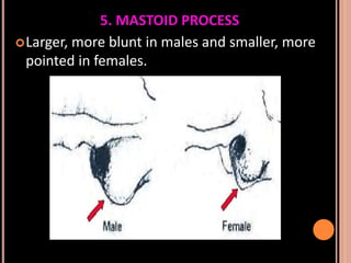 Sex determination in forensic