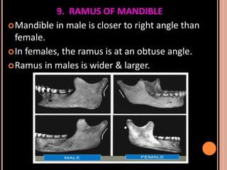 Sex determination in forensic