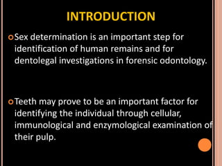 Sex determination in forensic
