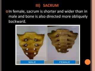 Sex determination in forensic