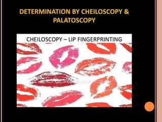 Sex determination in forensic