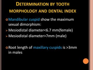 Sex determination in forensic