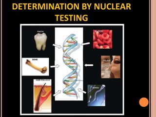 Sex determination in forensic