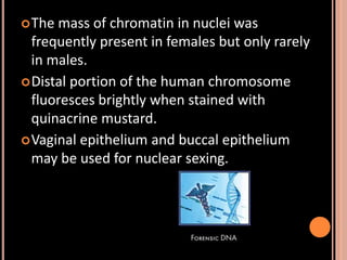 Sex determination in forensic