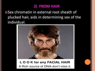 Sex determination in forensic