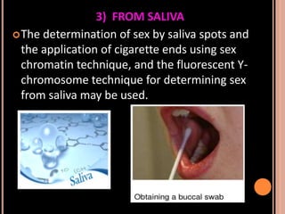 Sex determination in forensic