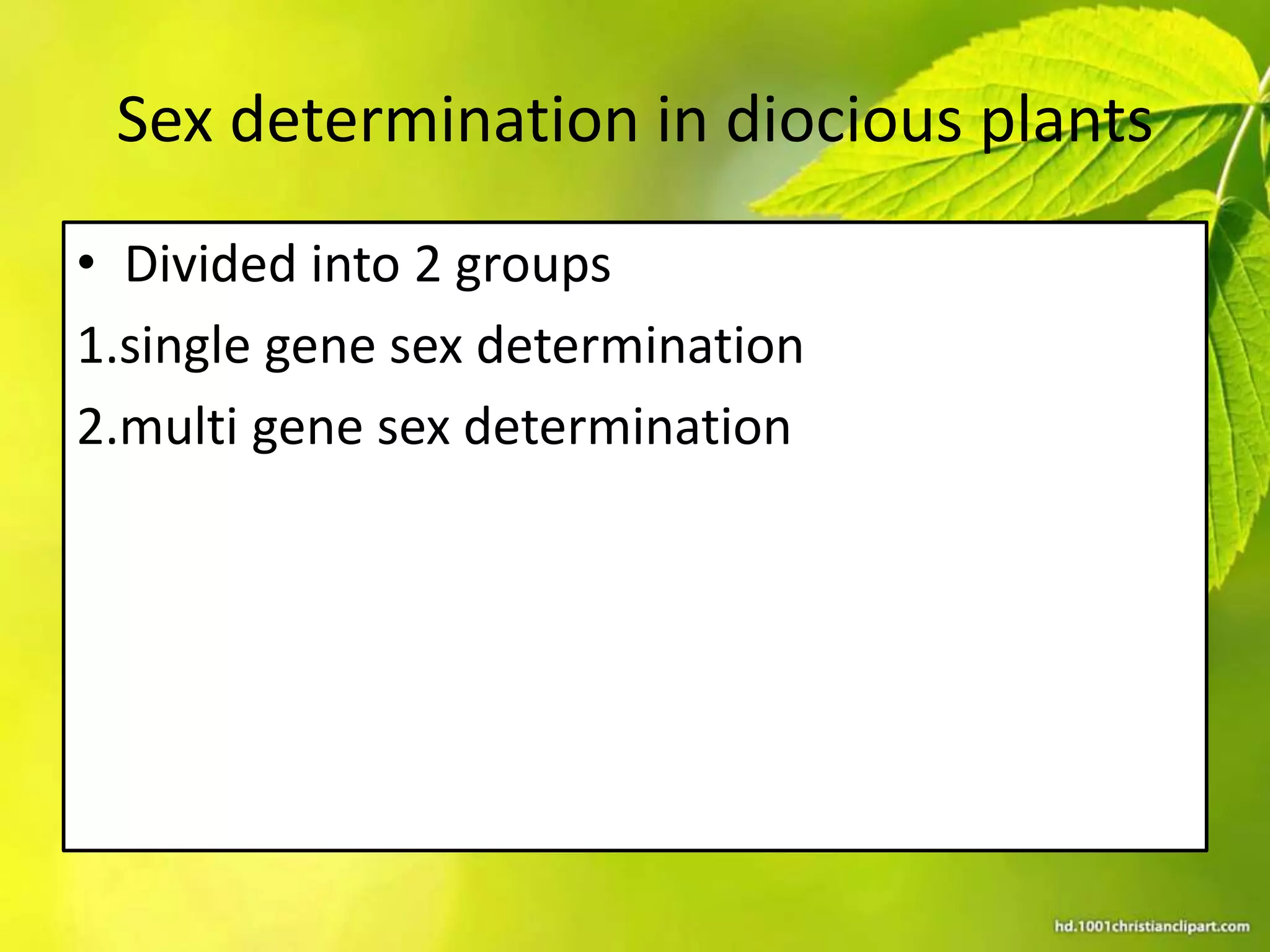 Sex determination in plants | PPTX