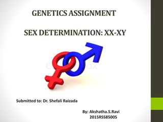 GENETICS ASSIGNMENT
SEX DETERMINATION: XX-XY
Submitted to: Dr. Shefali Raizada
By: Akshatha.S.Ravi
2015RSS85005
 