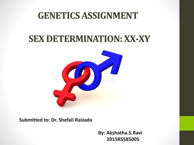 Genetics Assignment Explores Xx Xy Sex Determination Ppt