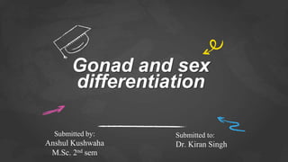 Gonad and sex
differentiation
Submitted by:
Anshul Kushwaha
M.Sc. 2nd sem
Submitted to:
Dr. Kiran Singh
 
