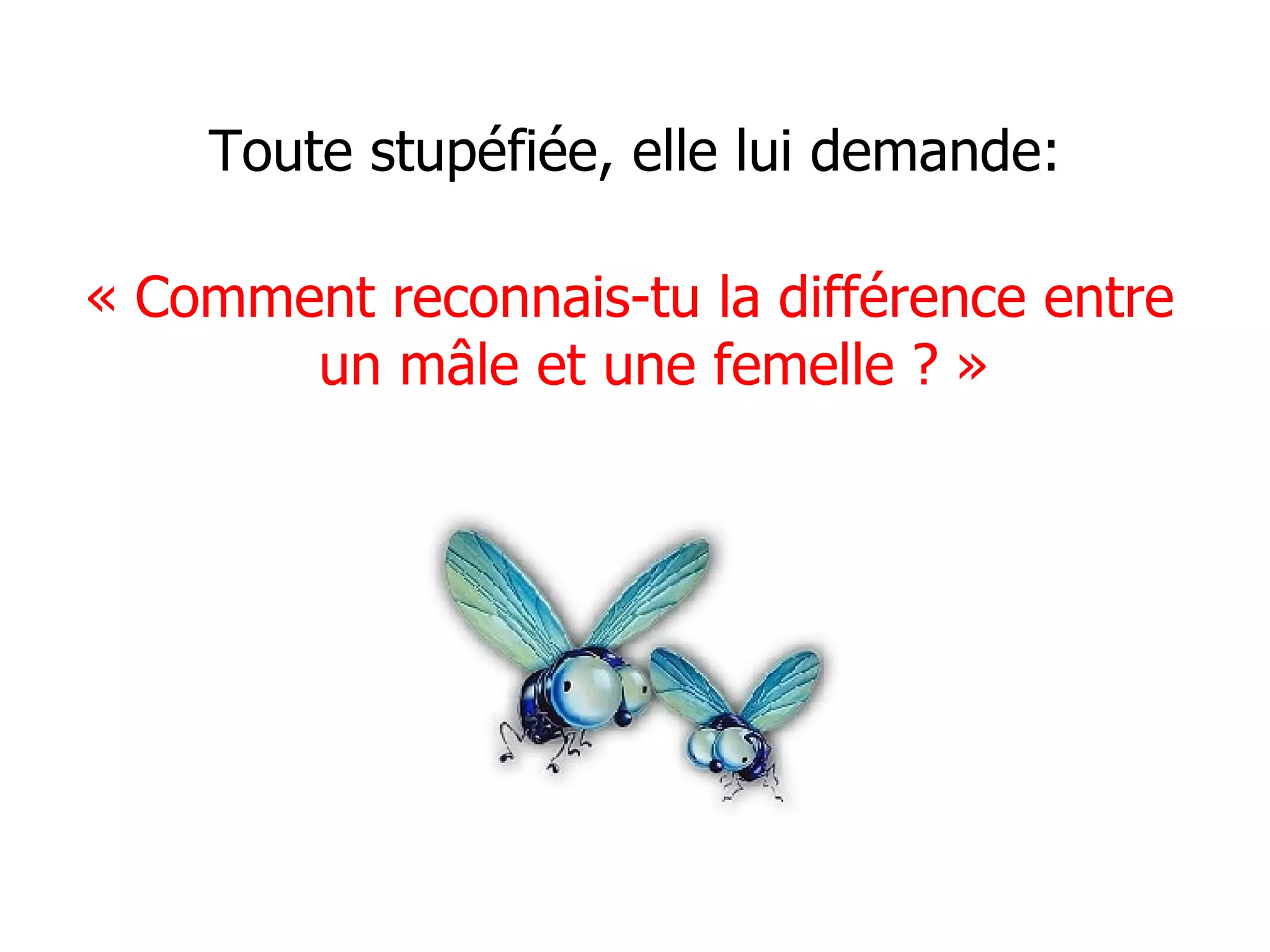 Toute stupéfiée, elle lui demande: « Comment reconnais-tu la différence entre un mâle et une femelle ? »