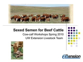 Sexed Semen and Beef Cattle Sexed Semen for Beef Cattle Cow-calf Workshops Spring 2010 UW Extension Livestock Team  