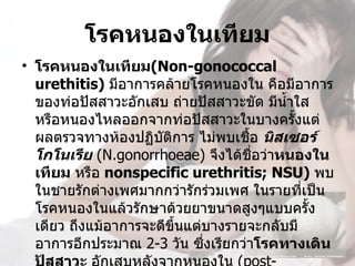 โรคหนองในเทียม
• โรคหนองในเทียม(Non-gonococcal 
  urethitis) มีอาการคล้ายโรคหนองใน คือมีอาการ
  ของท่อปัสสาวะอักเสบ ถ่ายปัสสาวะขัด มีนำ้าใส
  หรือหนองไหลออกจากท่อปัสสาวะในบางครั้งแต่
  ผลตรวจทางห้องปฏิบัติการ ไม่พบเชื้อ นิสเซอร์ 
  โกโนเรีย (N.gonorrhoeae) จึงได้ชื่อว่าหนองใน
  เทียม หรือ nonspecific urethritis; NSU) พบ
  ในชายรักต่างเพศมากกว่ารักร่วมเพศ ในรายที่เป็น
  โรคหนองในแล้วรักษาด้วยยาขนาดสูงๆแบบครัง    ้
  เดียว ถึงแม้อาการจะดีขึ้นแต่บางรายจะกลับมี
  อาการอีกประมาณ 2-3 วัน ซึ่งเรียกว่าโรคทางเดิน
 