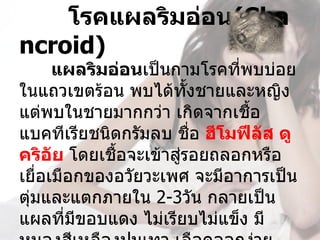        โรคแผลริมอ่อน(Cha
ncroid)
      แผลริมอ่อนเป็นกามโรคที่พบบ่อย
ในแถวเขตร้อน พบได้ทงชายและหญิง 
                         ั้
แต่พบในชายมากกว่า เกิดจากเชื้อ
แบคทีเรียชนิดกรัมลบ ชื่อ ฮีโมฟีลัส ดู
คริอัย โดยเชื้อจะเข้าสูรอยถลอกหรือ
                       ่
เยื่อเมือกของอวัยวะเพศ จะมีอาการเป็น
ตุ่มและแตกภายใน 2-3วัน กลายเป็น
แผลที่มีขอบแดง ไม่เรียบไม่แข็ง มี
 