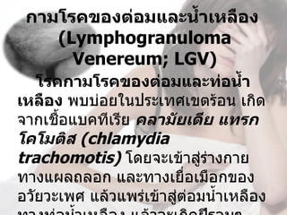 กามโรคของต่อมและนำ้าเหลือง 
    (Lymphogranuloma 
      Venereum; LGV)
    โรคกามโรคของต่อมและท่อนำ้า
เหลือง พบบ่อยในประเทศเขตร้อน เกิด
จากเชื้อแบคทีเรีย คลามัยเดีย แทรก
โคโมติส (chlamydia 
trachomotis) โดยจะเข้าสูร่างกาย
                           ่
ทางแผลถลอก และทางเยื่อเมือกของ
อวัยวะเพศ แล้วแพร่เข้าสูต่อมนำ้าเหลือง
                        ่
 