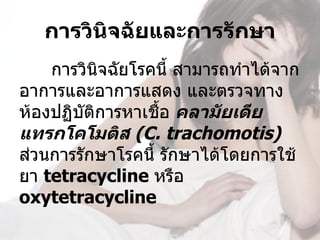 การวินิจฉัยและการรักษา
    การวินจฉัยโรคนี้ สามารถทำาได้จาก
           ิ
อาการและอาการแสดง และตรวจทาง
ห้องปฏิบัติการหาเชื้อ คลามัยเดีย 
แทรกโคโมติส (C. trachomotis) 
ส่วนการรักษาโรคนี้ รักษาได้โดยการใช้
ยา tetracycline หรือ 
oxytetracycline 
 