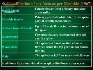 ❖ Classification of sex form as per Moshkin (1967)
Stable female
Female flower from primary and later
order spike
Unstable female
Primary pistillate while later order spike
partial or fully monoecious
Inclined toward female
Up to 10 male flower in the lower part of
the spike
Interspersed
Few male flowers interspersed through
out the spike
Monoecious
The spike has basal portion of male
flowers, while the top portion has female
flowers.
Male The spike has 1/3rd or more male flowers
In all these forms individual hermaphrodite flowers may occur
17
 