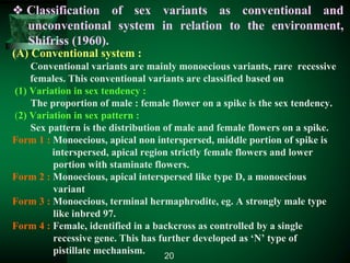 ❖ Classification of sex variants as conventional and
unconventional system in relation to the environment,
Shifriss (1960).
(A) Conventional system :
Conventional variants are mainly monoecious variants, rare recessive
females. This conventional variants are classified based on
(1) Variation in sex tendency :
The proportion of male : female flower on a spike is the sex tendency.
(2) Variation in sex pattern :
Sex pattern is the distribution of male and female flowers on a spike.
Form 1 : Monoecious, apical non interspersed, middle portion of spike is
interspersed, apical region strictly female flowers and lower
portion with staminate flowers.
Form 2 : Monoecious, apical interspersed like type D, a monoecious
variant
Form 3 : Monoecious, terminal hermaphrodite, eg. A strongly male type
like inbred 97.
Form 4 : Female, identified in a backcross as controlled by a single
recessive gene. This has further developed as ‘N’ type of
pistillate mechanism. 20
 