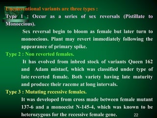 Unconventional variants are three types :
Type 1 : Occur as a series of sex reversals (Pistillate to
Monoecious).
Sex reversal begin to bloom as female but later turn to
monoecious. Plant may revert immediately following the
appearance of primary spike.
Type 2 : Non reverted females.
It has evolved from inbred stock of variants Queen 162
and Adam mistaef, which was classified under type of
late reverted female. Both variety having late maturity
and produce their raceme at long intervals.
Type 3 : Mutating recessive females.
It was developed from cross made between female mutant
137-6 and a monoecist N-145-4, which was known to be
heterozygous for the recessive female gene. 22
 