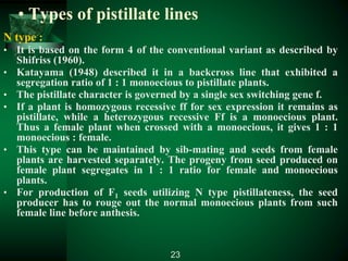 • Types of pistillate lines
N type :
• It is based on the form 4 of the conventional variant as described by
Shifriss (1960).
• Katayama (1948) described it in a backcross line that exhibited a
segregation ratio of 1 : 1 monoecious to pistillate plants.
• The pistillate character is governed by a single sex switching gene f.
• If a plant is homozygous recessive ff for sex expression it remains as
pistillate, while a heterozygous recessive Ff is a monoecious plant.
Thus a female plant when crossed with a monoecious, it gives 1 : 1
monoecious : female.
• This type can be maintained by sib-mating and seeds from female
plants are harvested separately. The progeny from seed produced on
female plant segregates in 1 : 1 ratio for female and monoecious
plants.
• For production of F1 seeds utilizing N type pistillateness, the seed
producer has to rouge out the normal monoecious plants from such
female line before anthesis.
23
 
