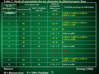 Table 2. Mode of segregation for sex character in sibbed progeny lines
Sr. no.
of progeny line
No of plant with Mode of
segregation
(Back cross
ratio)
Probable genotype of selfed plant
Monoecious (M) 100 % Pistillate
type (P)
1 80
0
All M
AABB or AaBB or AABb or
aaBB or AAbb
2 61 19 3 M : 1 P AaBb
3 80 0 All M
AABB or AaBB or AAbb or
aaBB or AABb
4 80 0 All M do
5 43 37 1 M : 1 P Aabb or aaBb
6 80 0 All M
AABB or AaBB or AABb or
AAbb or aaBB
7 80 0 All M do
8 39 41 1 M : 1 P Aabb or aaBb
9 57 23 3 M : 1 P AaBb
10 59 21 3 M : 1 P AaBb
11 80 0 All M
AABB or AaBB or AABb or
aaBB or AAbb
12 42 38 1 M : 1 P Aabb or aaBb
33
Raichur Sindagi (1968)
M = Monoecious; P = 100% Pistillate
 