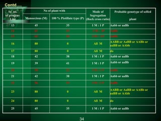 Sr. no.
of progeny
Line
No of plant with Mode of
Segregation
(Back cross ratio)
Probable genotype of selfed
plantMonoecious (M) 100 % Pistillate type (P)
13 45 35 1 M : 1 P Aabb or aaBb
14 61 19 3 M : 1P AaBb
15 62 18 3 M : 1P AaBb
16 80 0 All M
AABB or AaBB or AABb or
aaBB or AAbb
17 80 0 All M do
18 42 38 1 M : 1 P Aabb or aaBb
19 39 41 1 M : 1 P Aabb or aaBb
20 58 22 3 M : 1 P AaBb
21 42 38 1 M : 1 P Aabb or aaBb
22 56 19 3 M : 1 P AaBb
23 80 0 All M
AABB or AaBB or AABb or
aaBB or AAbb
24 80 0 All M do
25 45 35 1 M : 1 P Aabb or aaBb
34
Contd….
 