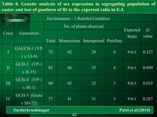 Environment – 1 Rainfed Condition
Cross Generation
No. of plants observed
Expected
Ratio
Χ2
value
Total Monoceious Interspersed Pistillate
I
GAUCH-1 (VP-
1 x VI-9)
75 42 29 4 9:6:1 0.127
II
GCH-2 (VP-1
x JI-35)
85 46 35 4 9:6:1 0.699
III
GCH-4 (VP-1
x 48-1)
80 45 32 3 9:6:1 0.933
IV
GCH-5 (Geeta
x SH-72)
77 41 31 5 9:6:1 0.287
Table 8. Genetic analysis of sex expression in segregating population of
castor and test of goodness of fit to the expected ratio in E-I.
41Sardarkrushinagar Patel et al.(2014)
42
 