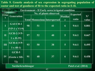 Environment - II Early sown irrigated condition
Cros
s Generation
No. of plants observed Expected
ratio
Χ2
valueTotal Monoceious Interspersed
Pistillat
e
I
GAUCH-1
(VP-1 x VI-9)
98 51 41 6 9:6:1 0.801
II
GCH-2 (VP-
1 x JI-35)
97 52 40 5 9:6:1 0.667
III
GCH-4 (VP-
1 x 48-1)
93 50 38 5 9:6:1 0.495
IV
GCH-5
(Geeta x SH-
72)
91 48 37 6 9:6:1 0.458
Table 9. Genetic analysis of sex expression in segregating population of
castor and test of goodness of fit to the expected ratio in E-II.
Sardarkrushinagar Patel et al. (2014)
42
 
