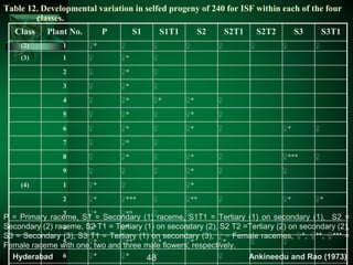 Table 12. Developmental variation in selfed progeny of 240 for ISF within each of the four
classes.
Class Plant No. P S1 S1T1 S2 S2T1 S2T2 S3 S3T1
(2) 1 ♀* ♀ ♀ ♀ ♀ ♀ ♀ ♀
(3) 1 ♀ ♀* ♀
2 ♀ ♀* ♀
3 ♀ ♀* ♀
4 ♀ ♀* ♀* ♀* ♀
5 ♀ ♀* ♀ ♀* ♀
6 ♀ ♀* ♀ ♀* ♀ ♀* ♀
7 ♀ ♀* ♀
8 ♀ ♀* ♀ ♀* ♀ ♀*** ♀
9 ♀ ♀ ♀ ♀* ♀ ♀
(4) 1 ♀* ♀ ♀*
2 ♀* ♀*** ♀ ♀** ♀ ♀* ♀*
3 ♀* ♀** ♀ ♀
4 ♀* ♀* ♀
5 ♀* ♀** ♀* ♀* ♀* ♀ ♀
6 ♀* ♀* ♀ ♀
P = Primary raceme, S1 = Secondary (1) raceme, S1T1 = Tertiary (1) on secondary (1), S2 =
Secondary (2) raceme, S2 T1 = Tertiary (1) on secondary (2), S2 T2 =Tertiary (2) on secondary (2),
S3 = Secondary (3), S3 T1 = Tertiary (1) on secondary (3), ♀ = Female racemes, ♀*, ♀**, ♀*** =
Female raceme with one, two and three male flowers, respectively.
Hyderabad Ankineedu and Rao (1973)48
 