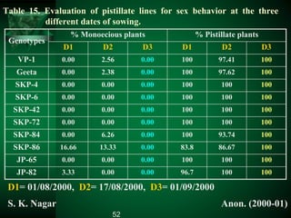 Table 15. Evaluation of pistillate lines for sex behavior at the three
different dates of sowing.
Genotypes
% Monoecious plants % Pistillate plants
D1 D2 D3 D1 D2 D3
VP-1 0.00 2.56 0.00 100 97.41 100
Geeta 0.00 2.38 0.00 100 97.62 100
SKP-4 0.00 0.00 0.00 100 100 100
SKP-6 0.00 0.00 0.00 100 100 100
SKP-42 0.00 0.00 0.00 100 100 100
SKP-72 0.00 0.00 0.00 100 100 100
SKP-84 0.00 6.26 0.00 100 93.74 100
SKP-86 16.66 13.33 0.00 83.8 86.67 100
JP-65 0.00 0.00 0.00 100 100 100
JP-82 3.33 0.00 0.00 96.7 100 100
D1= 01/08/2000, D2= 17/08/2000, D3= 01/09/2000
S. K. Nagar Anon. (2000-01)
52
 