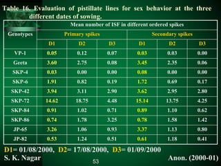 Table 16. Evaluation of pistillate lines for sex behavior at the three
different dates of sowing.
Genotypes
Mean number of ISF in different ordered spikes
Primary spikes Secondary spikes
D1 D2 D3 D1 D2 D3
VP-1 0.05 0.12 0.07 0.03 0.03 0.00
Geeta 3.60 2.75 0.08 3.45 2.35 0.06
SKP-4 0.03 0.00 0.00 0.08 0.00 0.00
SKP-6 1.91 0.82 0.19 1.72 0.69 0.17
SKP-42 3.94 3.11 2.90 3.62 2.95 2.80
SKP-72 14.62 18.75 4.48 15.14 13.75 4.25
SKP-84 0.91 1.02 0.71 0.89 1.10 0.62
SKP-86 0.74 1.78 3.25 0.78 1.58 1.42
JP-65 3.26 1.06 0.93 3.37 1.13 0.80
JP-82 0.53 1.24 0.51 0.61 1.18 0.41
D1= 01/08/2000, D2= 17/08/2000, D3= 01/09/2000
S. K. Nagar Anon. (2000-01)53
 