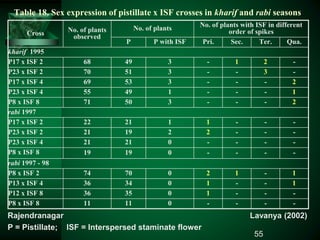 Table 18. Sex expression of pistillate x ISF crosses in kharif and rabi seasons
Cross No. of plants
observed
No. of plants No. of plants with ISF in different
order of spikes
P P with ISF Pri. Sec. Ter. Qua.
kharif 1995
P17 x ISF 2 68 49 3 - 1 2 -
P23 x ISF 2 70 51 3 - - 3 -
P17 x ISF 4 69 53 3 - - - 2
P23 x ISF 4 55 49 1 - - - 1
P8 x ISF 8 71 50 3 - - - 2
rabi 1997
P17 x ISF 2 22 21 1 1 - - -
P23 x ISF 2 21 19 2 2 - - -
P23 x ISF 4 21 21 0 - - - -
P8 x ISF 8 19 19 0 - - - -
rabi 1997 - 98
P8 x ISF 2 74 70 0 2 1 - 1
P13 x ISF 4 36 34 0 1 - - 1
P12 x ISF 8 36 35 0 1 - - -
P8 x ISF 8 11 11 0 - - - -
Rajendranagar Lavanya (2002)
P = Pistillate; ISF = Interspersed staminate flower
55
 