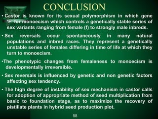 CONCLUSION
• Castor is known for its sexual polymorphism in which gene
‘F’ for monoecism which controls a genetically stable series of
sex variants ranging from female (f) to strongly male inbreds.
• Sex reversals occur spontaneously in many natural
populations and inbred races. They represent a genetically
unstable series of females differing in time of life at which they
turn to monoecism.
•The phenotypic changes from femaleness to monoecism is
developmentally irreversible.
• Sex reversals is influenced by genetic and non genetic factors
affecting sex tendency.
• The high degree of instability of sex mechanism in castor calls
for adoption of appropriate method of seed multiplication from
basic to foundation stage, as to maximize the recovery of
pistillate plants in hybrid seed production plot.
58
 