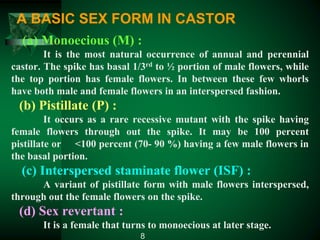(a) Monoecious (M) :
It is the most natural occurrence of annual and perennial
castor. The spike has basal 1/3rd to ½ portion of male flowers, while
the top portion has female flowers. In between these few whorls
have both male and female flowers in an interspersed fashion.
(b) Pistillate (P) :
It occurs as a rare recessive mutant with the spike having
female flowers through out the spike. It may be 100 percent
pistillate or <100 percent (70- 90 %) having a few male flowers in
the basal portion.
(c) Interspersed staminate flower (ISF) :
A variant of pistillate form with male flowers interspersed,
through out the female flowers on the spike.
(d) Sex revertant :
It is a female that turns to monoecious at later stage.
A BASIC SEX FORM IN CASTOR
8
 