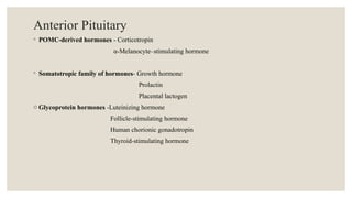 Comprehensive Overview of Sex Hormones and Anterior Pituitary Hormones ...