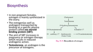 Biosynthesis
• In non-pregnant females,
estrogen is mainly synthesized in
the ovary.
• The estrogen(as well as
androgen) transported by
binding to a specific plasma
protein called sex steroid
binding protein (SBT).
• The amt of SBT increases in
pregnancy or estrogen therapy
which results in reduced
androgenic action.
• Testosterone, an androgen is the
precursor of estrogens.
 