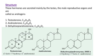 Structure
These hormones are secreted mainly by the testes, the male reproductive organs and
are
called as androgens
1. Testosterone, C19H28O2
2. Androsterone, C19H30O2
3. Dehydroepiandrosterone, C19H25O2
 